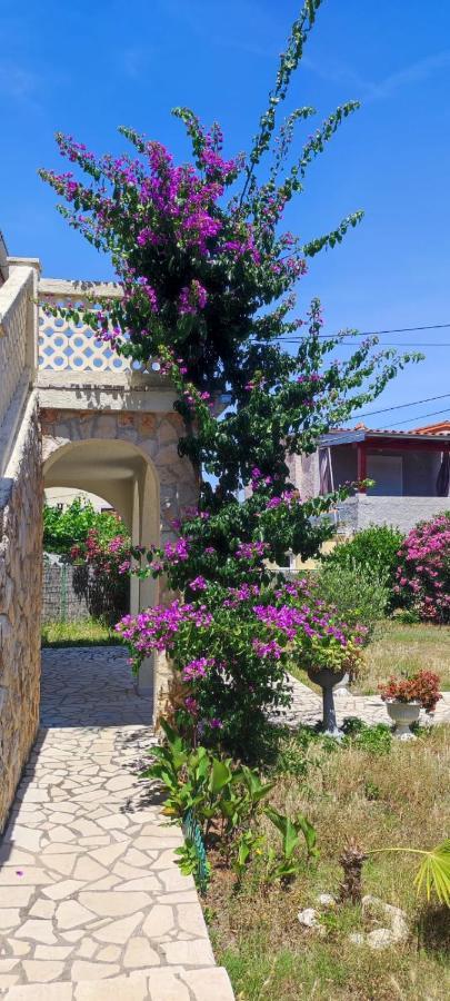 Villa Kadinela, 200M From Kamenjak, Huge Quiet Garden With Barbecue, 2 New Kitchens Premantura Exterior foto