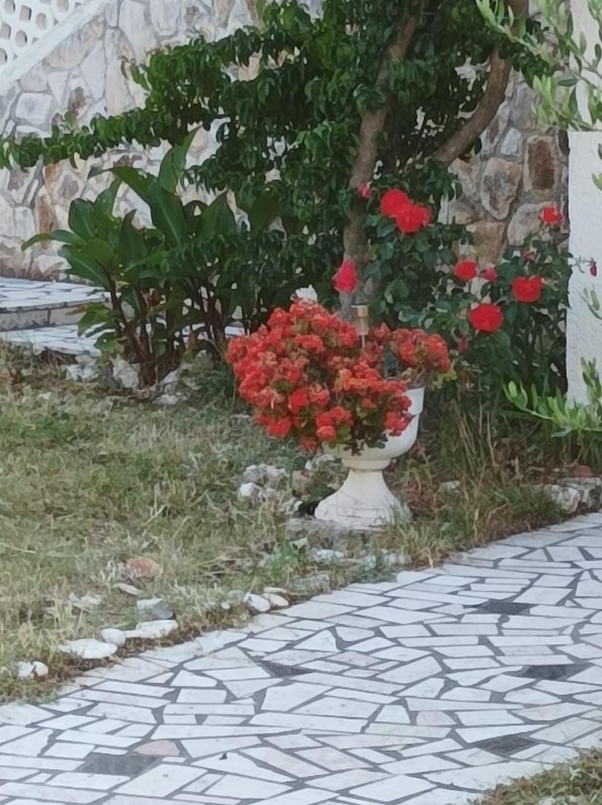 Villa Kadinela, 200M From Kamenjak, Huge Quiet Garden With Barbecue, 2 New Kitchens Premantura Exterior foto